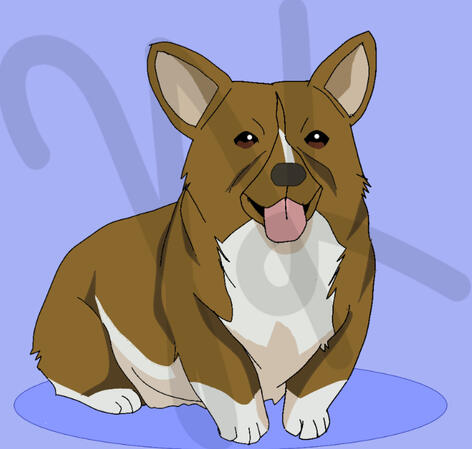 Ein